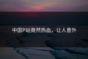 中国P站竟然热血，让人意外