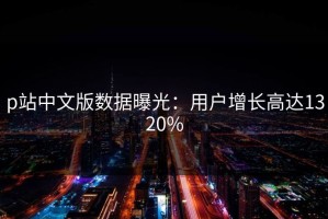p站中文版数据曝光：用户增长高达1320%