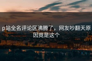 p站全名评论区沸腾了，网友吵翻天原因竟是这个