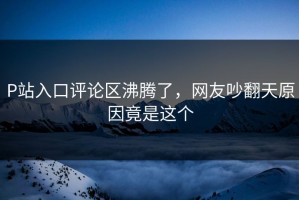 P站入口评论区沸腾了，网友吵翻天原因竟是这个
