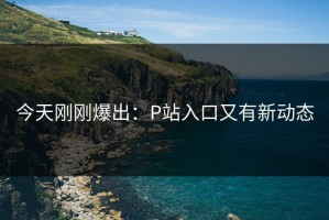 今天刚刚爆出：P站入口又有新动态