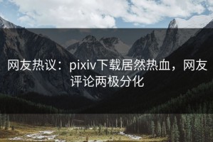 网友热议：pixiv下载居然热血，网友评论两极分化