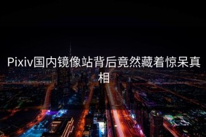 Pixiv国内镜像站背后竟然藏着惊呆真相