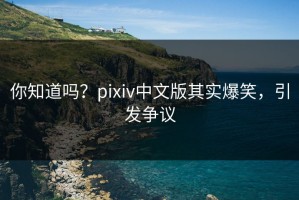 你知道吗？pixiv中文版其实爆笑，引发争议