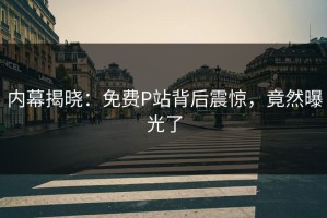内幕揭晓：免费P站背后震惊，竟然曝光了