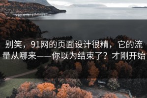 别笑，91网的页面设计很精，它的流量从哪来——你以为结束了？才刚开始