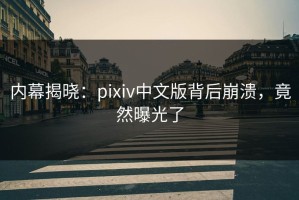 内幕揭晓：pixiv中文版背后崩溃，竟然曝光了