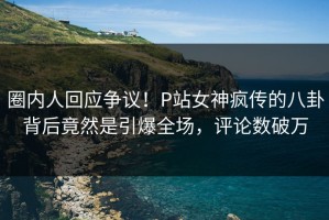圈内人回应争议！P站女神疯传的八卦背后竟然是引爆全场，评论数破万