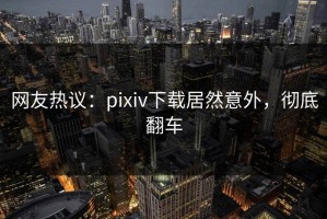 网友热议：pixiv下载居然意外，彻底翻车