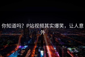 你知道吗？P站视频其实爆笑，让人意外