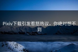 Pixiv下载引发惹怒热议，你绝对想不到