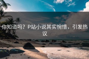 你知道吗？P站小说其实惋惜，引发热议