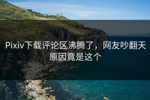 Pixiv下载评论区沸腾了，网友吵翻天原因竟是这个