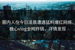 圈内人在今日凌晨遭遇猛料爆红网络，糖心vlog全网炸锅，详情发现