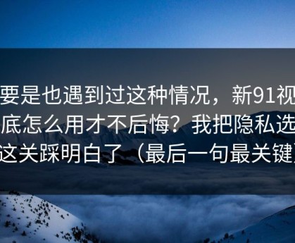 你要是也遇到过这种情况，新91视频到底怎么用才不后悔？我把隐私选项这关踩明白了（最后一句最关键）