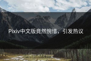 Pixiv中文版竟然惋惜，引发热议