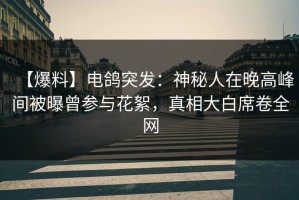 【爆料】电鸽突发：神秘人在晚高峰间被曝曾参与花絮，真相大白席卷全网