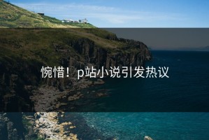 惋惜！p站小说引发热议
