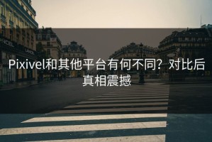 Pixivel和其他平台有何不同？对比后真相震撼
