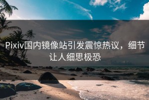 Pixiv国内镜像站引发震惊热议，细节让人细思极恐