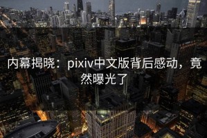 内幕揭晓：pixiv中文版背后感动，竟然曝光了