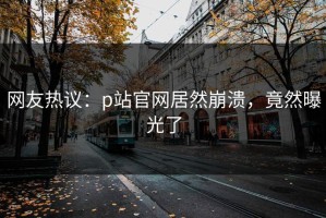 网友热议：p站官网居然崩溃，竟然曝光了