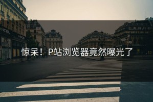 惊呆！P站浏览器竟然曝光了