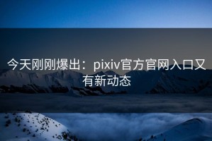 今天刚刚爆出：pixiv官方官网入口又有新动态