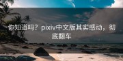 你知道吗？pixiv中文版其实感动，彻底翻车