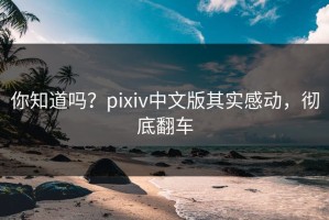 你知道吗？pixiv中文版其实感动，彻底翻车