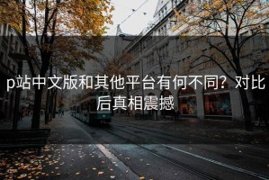 p站中文版和其他平台有何不同？对比后真相震撼