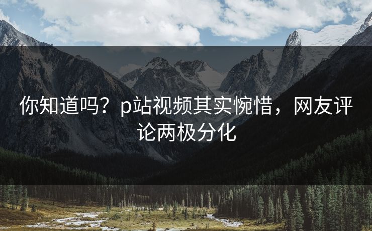 P站