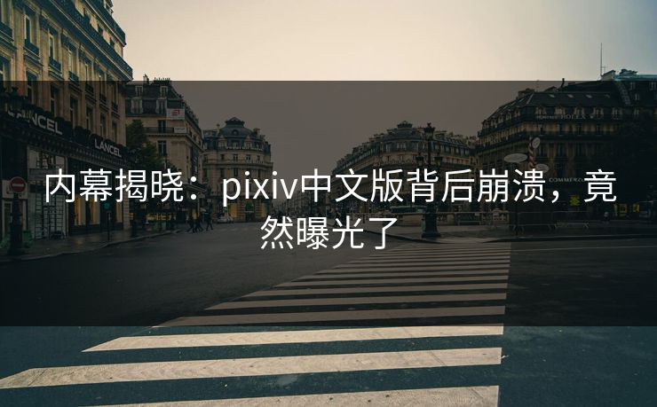 内幕揭晓：pixiv中文版背后崩溃，竟然曝光了