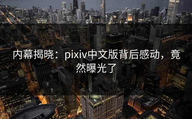内幕揭晓：pixiv中文版背后感动，竟然曝光了