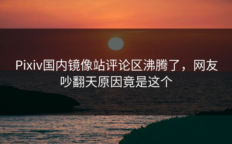 Pixiv国内镜像站评论区沸腾了，网友吵翻天原因竟是这个