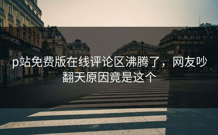 p站免费版在线评论区沸腾了，网友吵翻天原因竟是这个