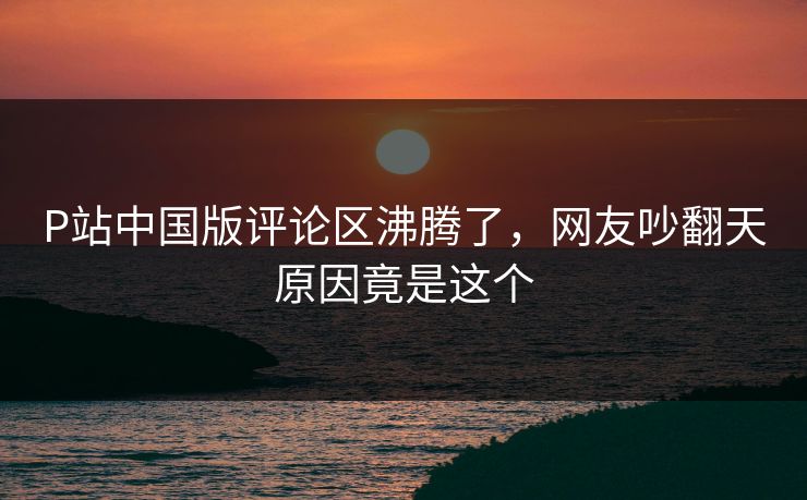 P站中国版评论区沸腾了，网友吵翻天原因竟是这个