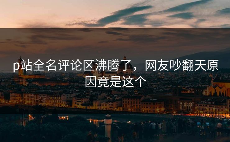 p站全名评论区沸腾了，网友吵翻天原因竟是这个