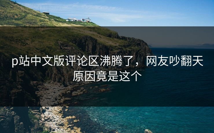 p站中文版评论区沸腾了，网友吵翻天原因竟是这个