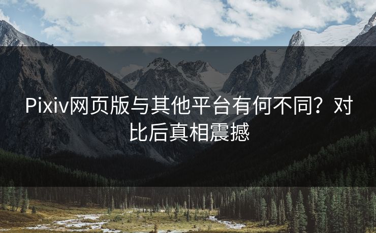 Pixiv网页版与其他平台有何不同？对比后真相震撼