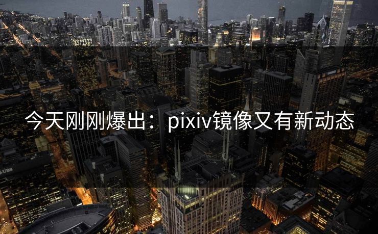 今天刚刚爆出：pixiv镜像又有新动态