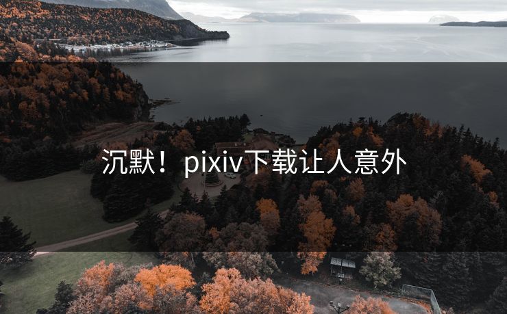 沉默！pixiv下载让人意外