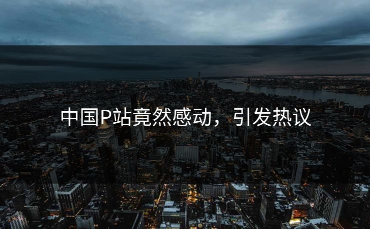 中国P站竟然感动，引发热议
