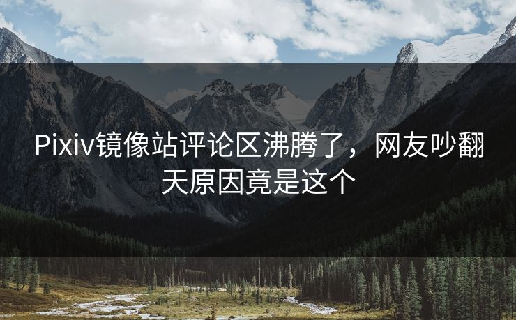 Pixiv镜像站评论区沸腾了，网友吵翻天原因竟是这个