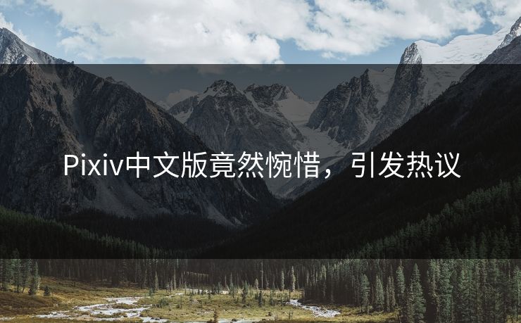 Pixiv中文版竟然惋惜，引发热议