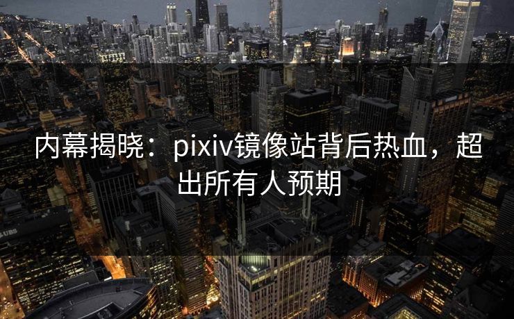 内幕揭晓：pixiv镜像站背后热血，超出所有人预期