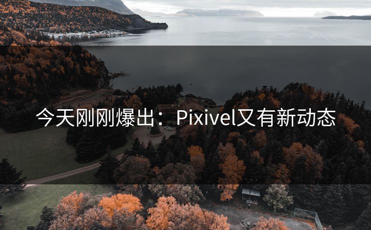 今天刚刚爆出：Pixivel又有新动态