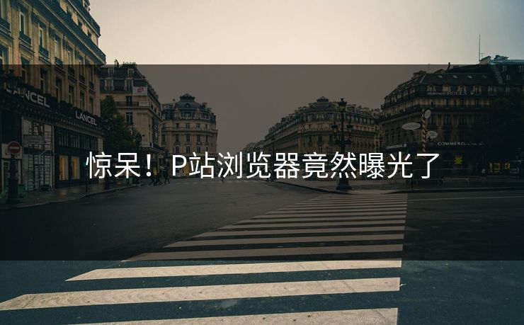 惊呆！P站浏览器竟然曝光了