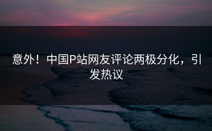 意外！中国P站网友评论两极分化，引发热议