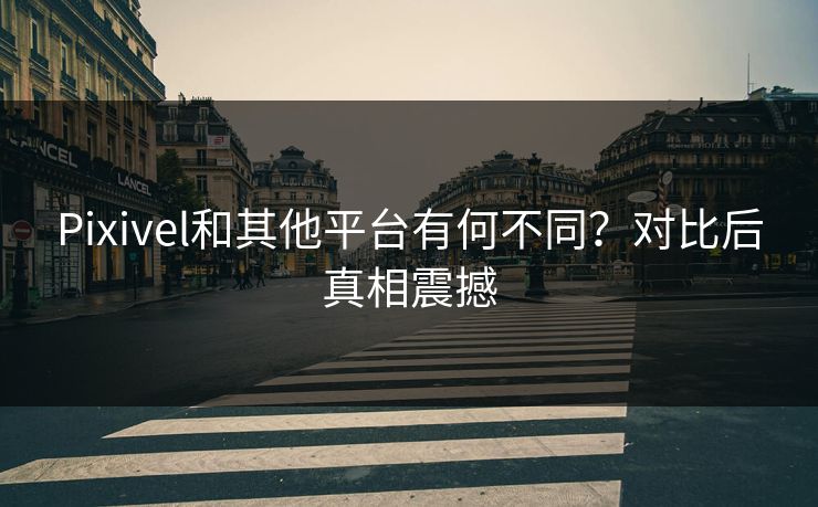 Pixivel和其他平台有何不同？对比后真相震撼